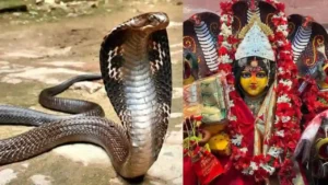 Ada Simla Sabang Snake Rescue